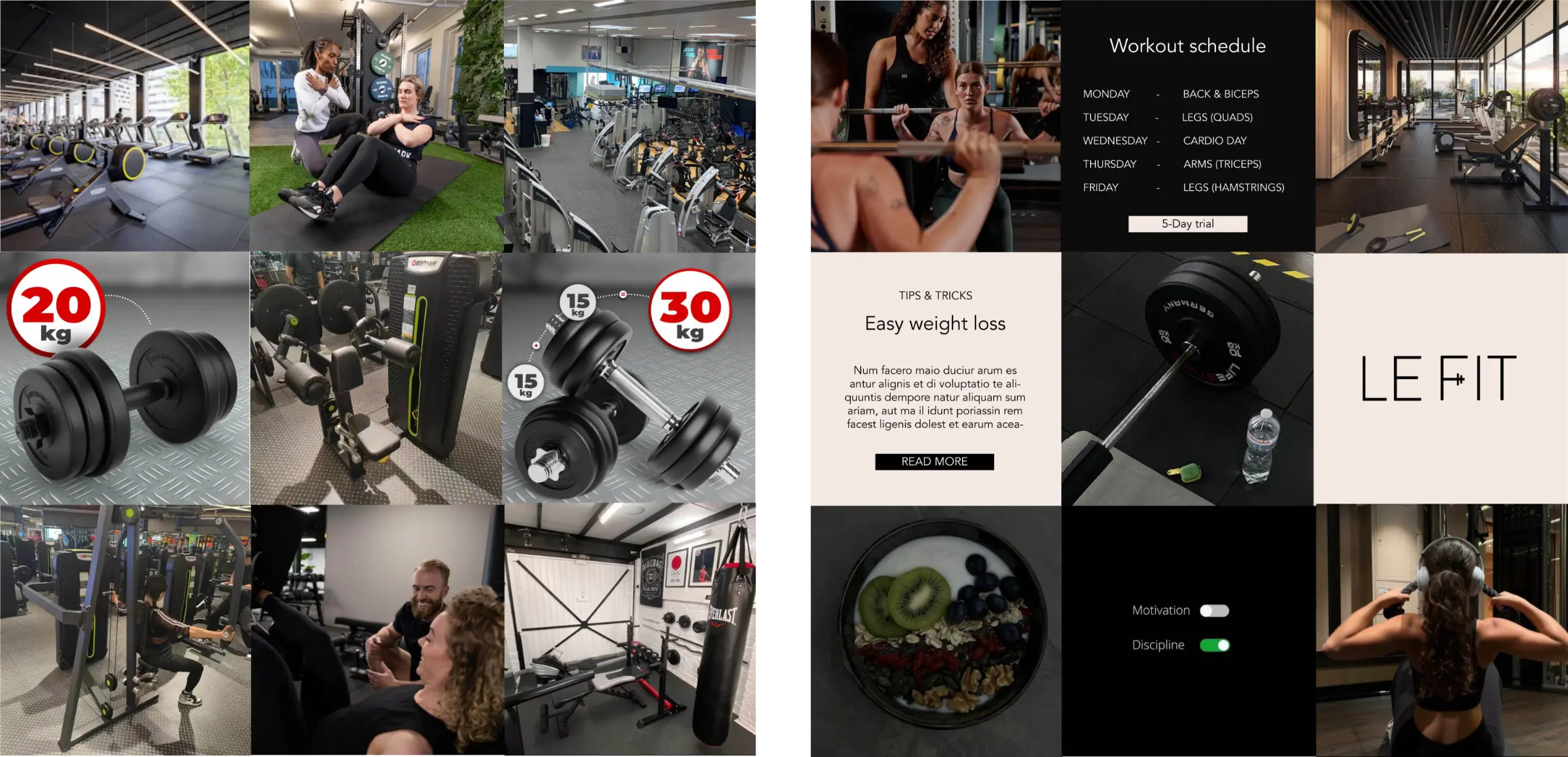 Instagram feed check